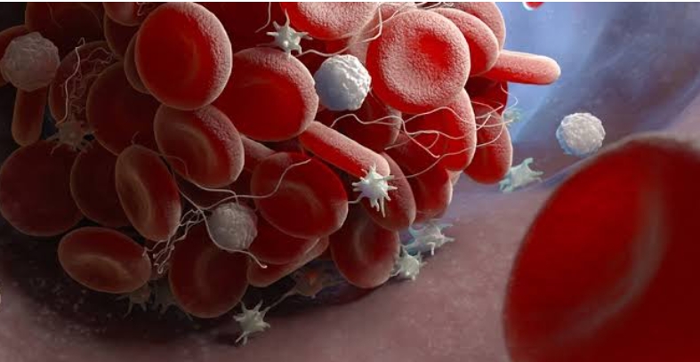 how to increase platelet count